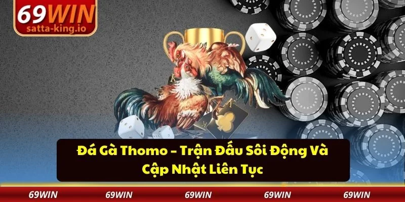 Đá gà Thomo